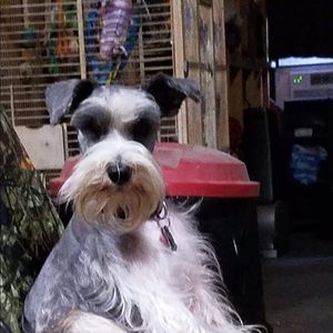 Meet your Posher, Shelly